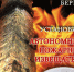 ПАМЯТКА ПОЖАРНЫЙ ИЗВЕЩАТЕЛЬ - Убинский район